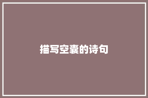 描写空囊的诗句