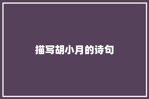 描写胡小月的诗句