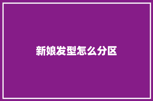 新娘发型怎么分区
