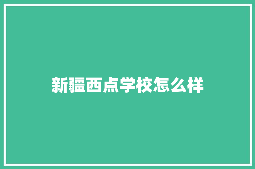 新疆西点学校怎么样