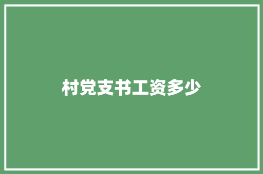 村党支书工资多少