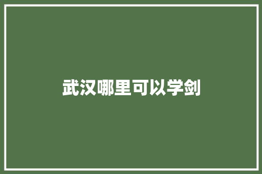 武汉哪里可以学剑