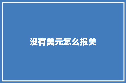 没有美元怎么报关