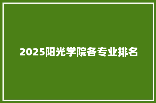 2025阳光学院各专业排名