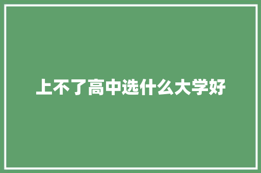 上不了高中选什么大学好