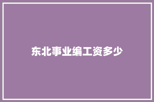 东北事业编工资多少