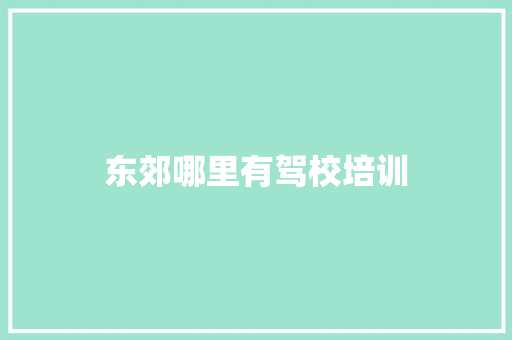 东郊哪里有驾校培训
