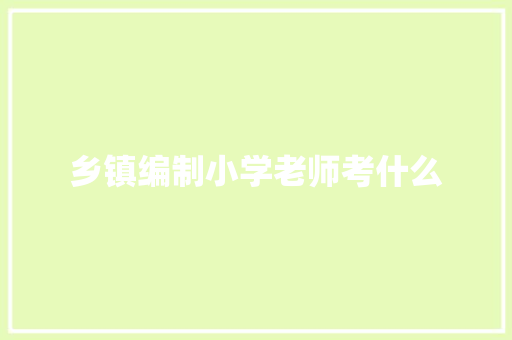 乡镇编制小学老师考什么