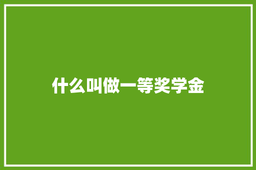 什么叫做一等奖学金