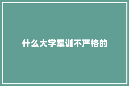 什么大学军训不严格的 职场写作