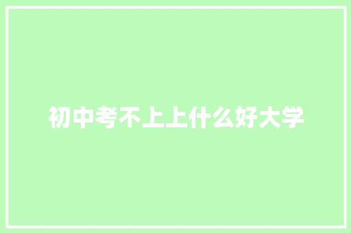 初中考不上上什么好大学