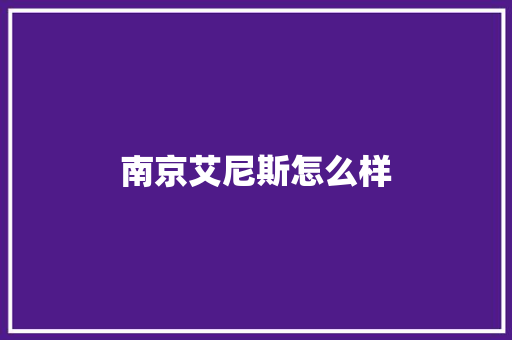 南京艾尼斯怎么样