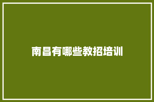 南昌有哪些教招培训