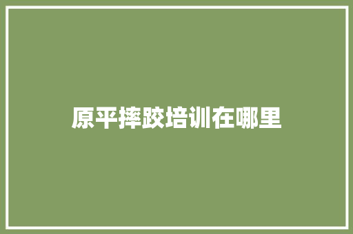 原平摔跤培训在哪里