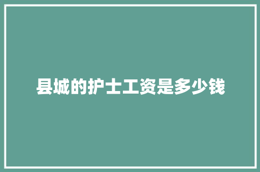 县城的护士工资是多少钱