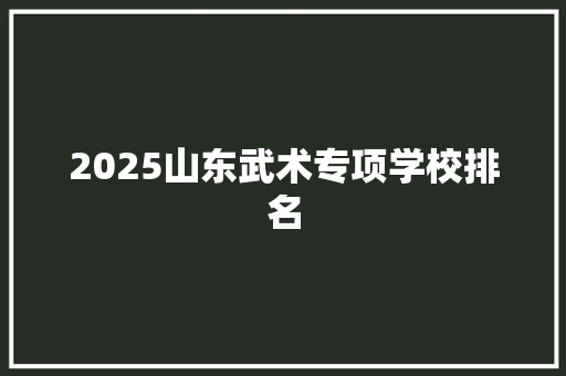 2025山东武术专项学校排名