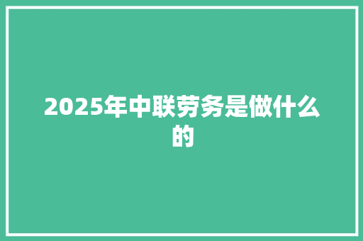 2025年中联劳务是做什么的