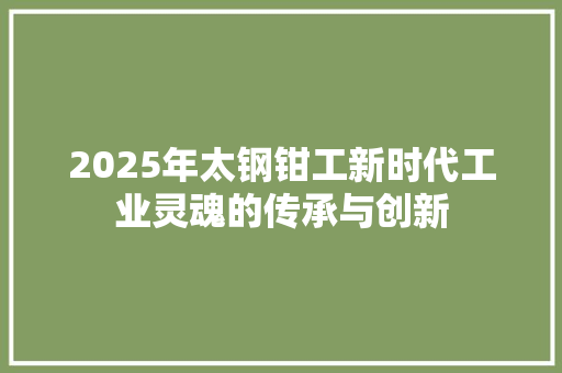 2025年太钢钳工新时代工业灵魂的传承与创新