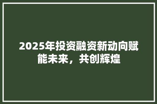 2025年投资融资新动向赋能未来，共创辉煌