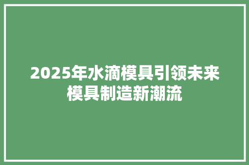 2025年水滴模具引领未来模具制造新潮流