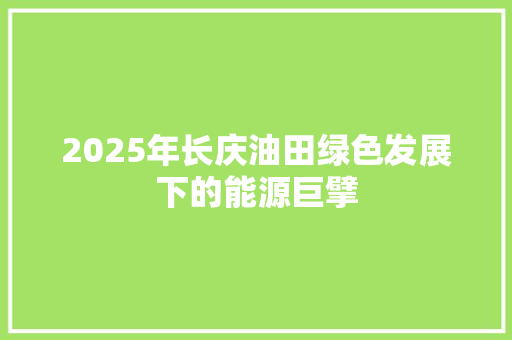 2025年长庆油田绿色发展下的能源巨擘