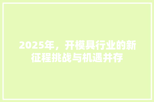 2025年，开模具行业的新征程挑战与机遇并存