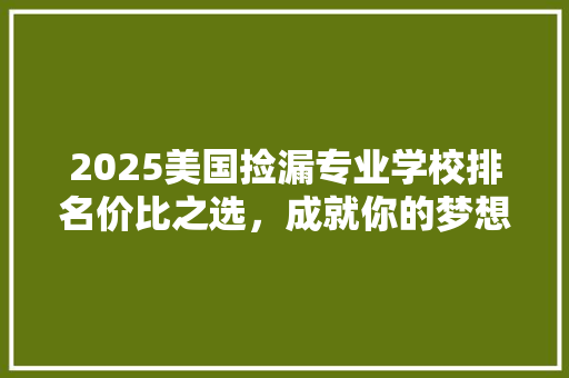 2025美国捡漏专业学校排名价比之选，成就你的梦想之路