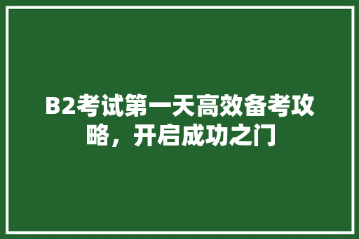 B2考试第一天高效备考攻略，开启成功之门