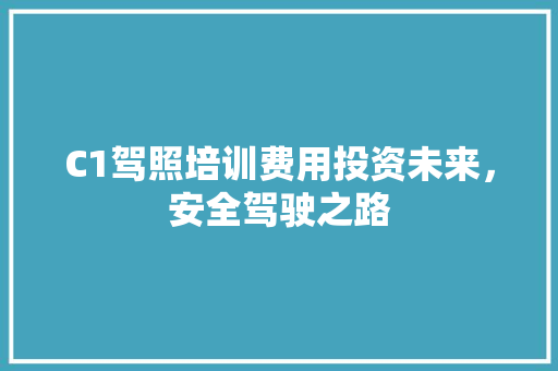 C1驾照培训费用投资未来，安全驾驶之路