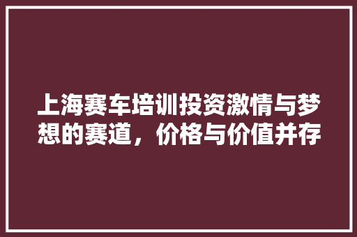 上海赛车培训投资激情与梦想的赛道，价格与价值并存