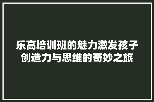 乐高培训班的魅力激发孩子创造力与思维的奇妙之旅