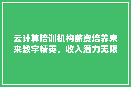 云计算培训机构薪资培养未来数字精英，收入潜力无限