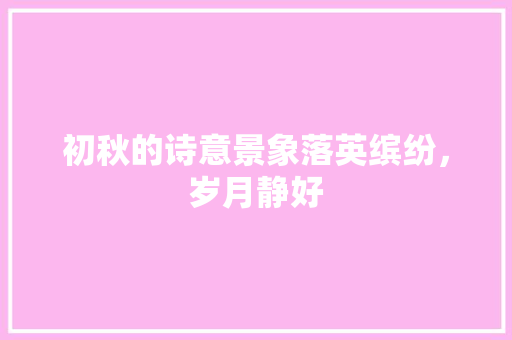 初秋的诗意景象落英缤纷，岁月静好