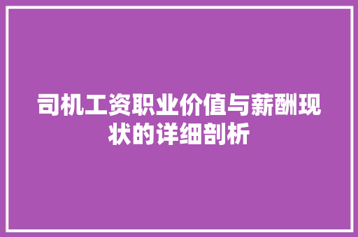 司机工资职业价值与薪酬现状的详细剖析