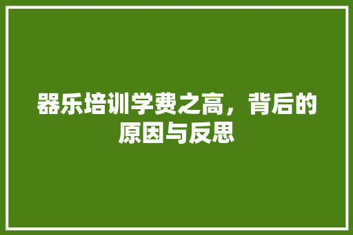 器乐培训学费之高，背后的原因与反思