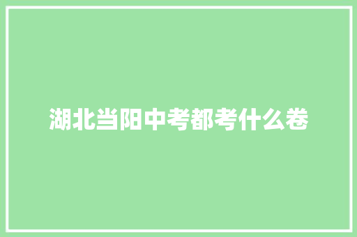湖北当阳中考都考什么卷