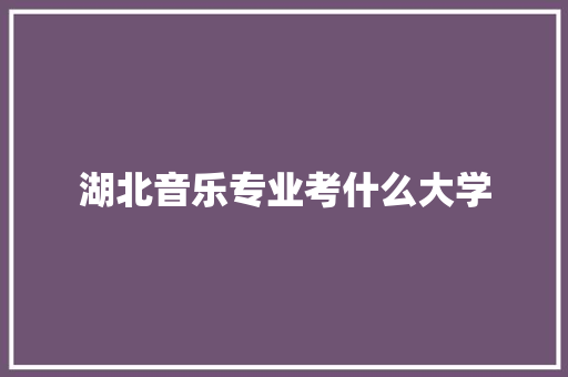 湖北音乐专业考什么大学