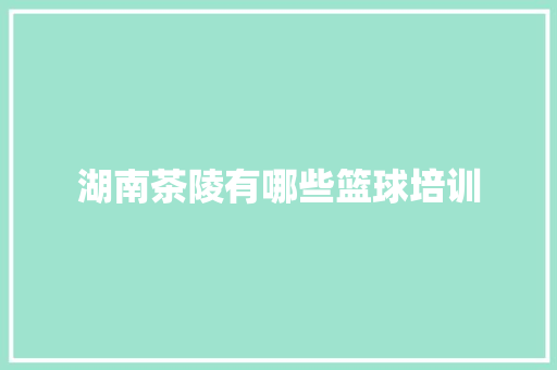 湖南茶陵有哪些篮球培训