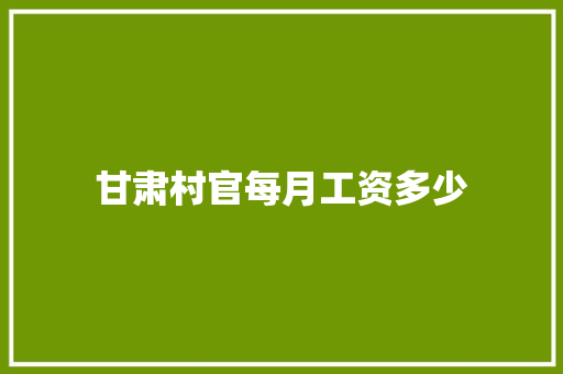 甘肃村官每月工资多少