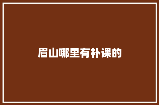 眉山哪里有补课的