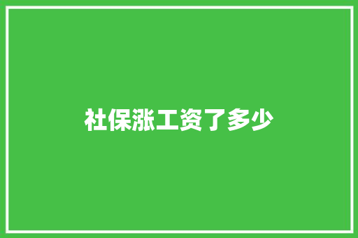 社保涨工资了多少