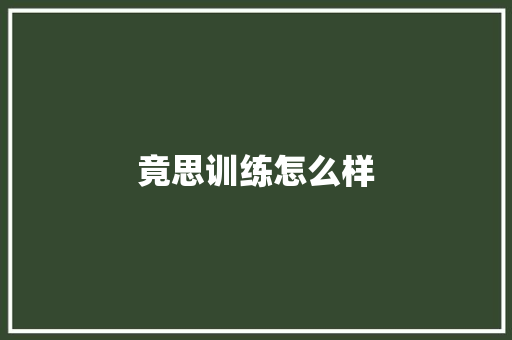 竟思训练怎么样