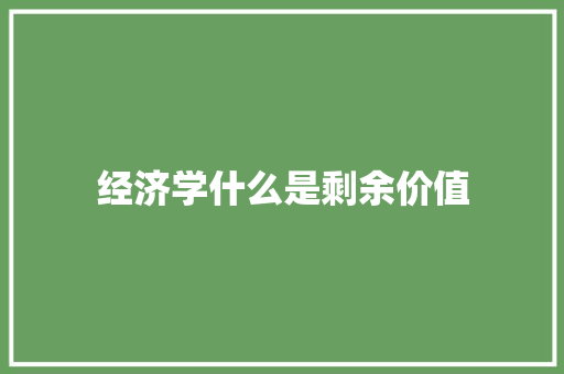 经济学什么是剩余价值