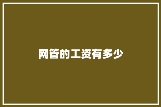 网管的工资有多少