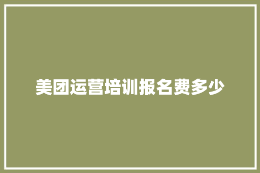 美团运营培训报名费多少