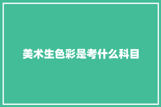 美术生色彩是考什么科目