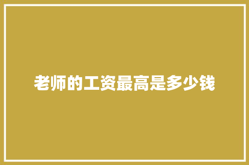 老师的工资最高是多少钱