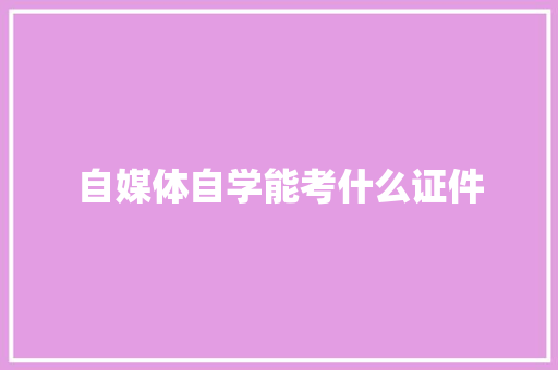 自媒体自学能考什么证件