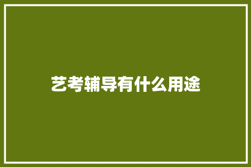 艺考辅导有什么用途