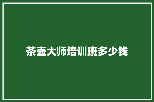 茶壶大师培训班多少钱